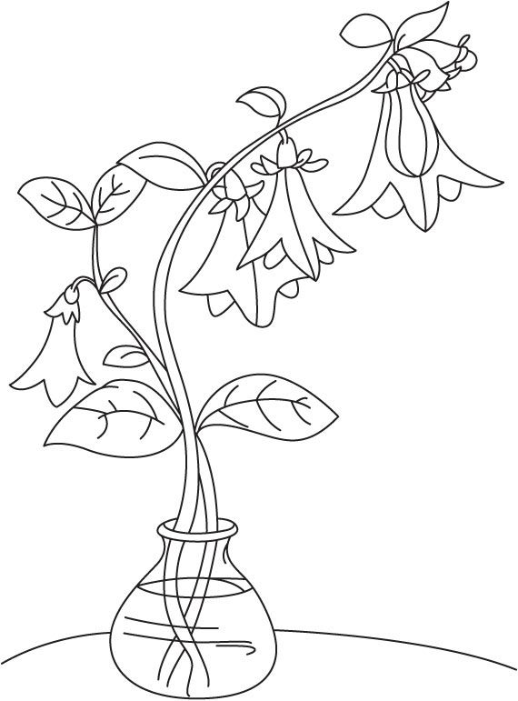 20 Bell Flower Coloring Pages