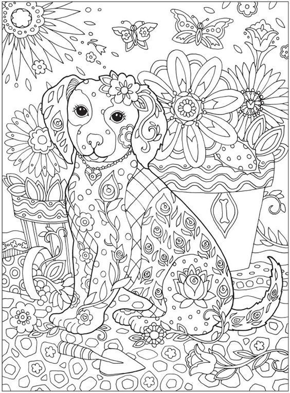 20 Easy Detailed Coloring Pages