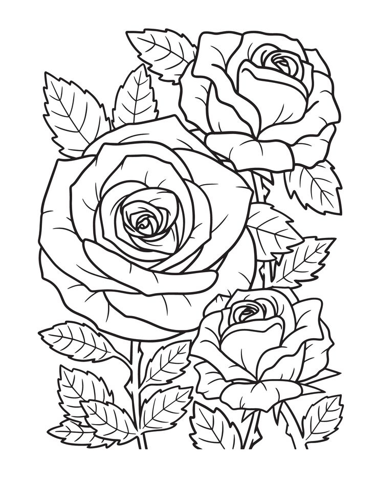 20 Valentines Day Flower Coloring Pages