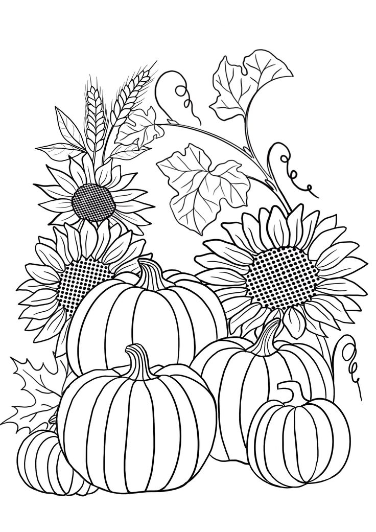 30 Fall Western Coloring Pages