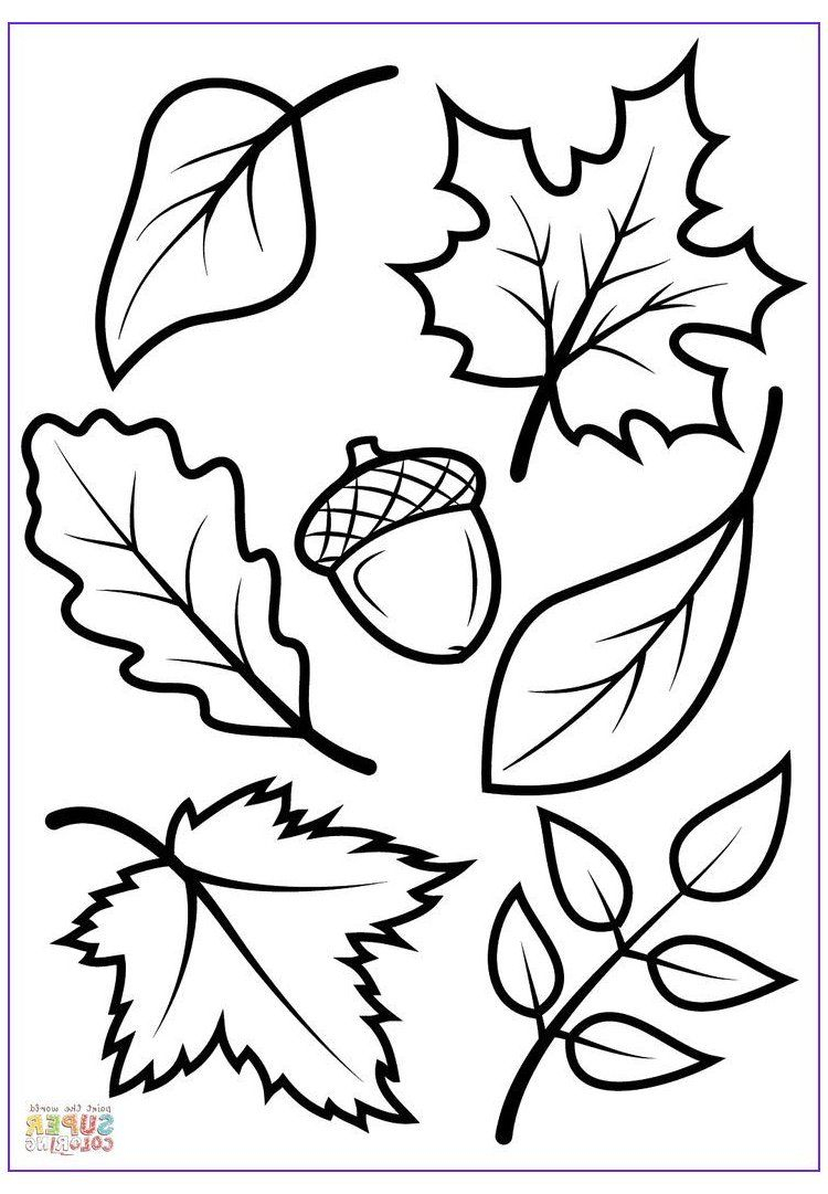 30 Printable Coloring Book Autumn