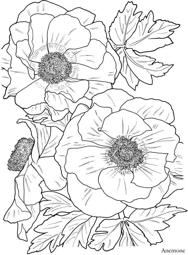 30 Printable Coloring Book Easy