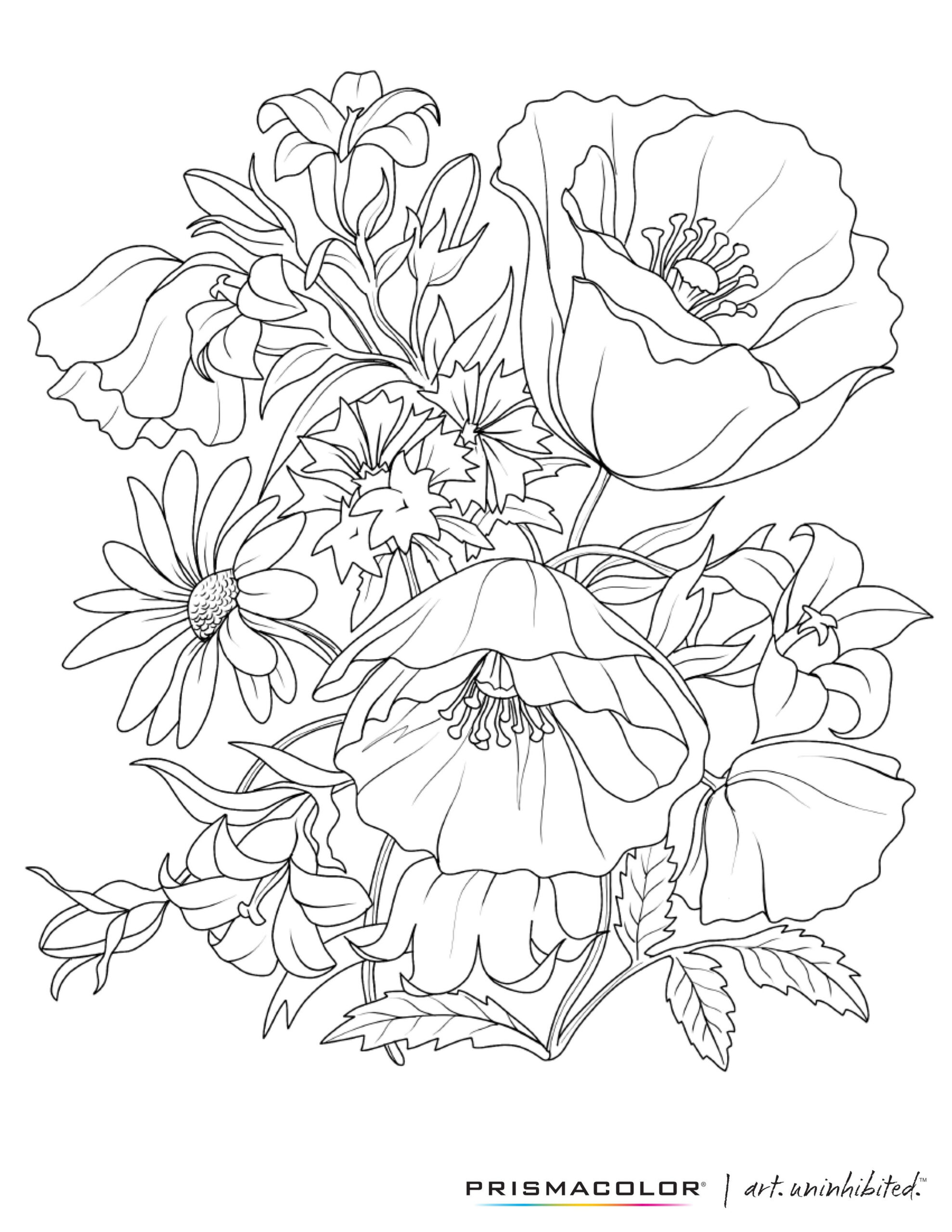 30 Printable Flower Coloring Pages Free Samples