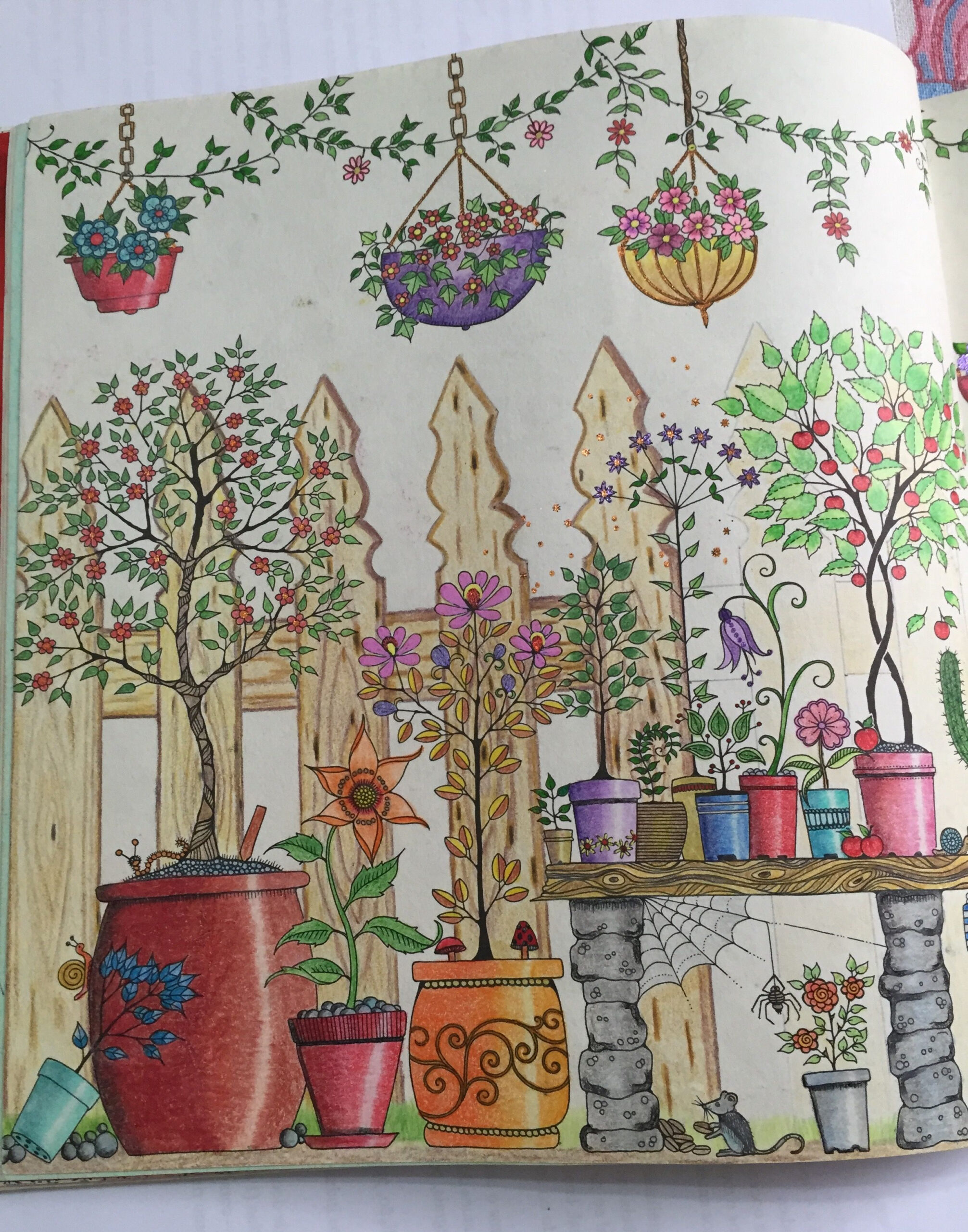 30 Secret Garden Coloring Book Flowers Free Printable