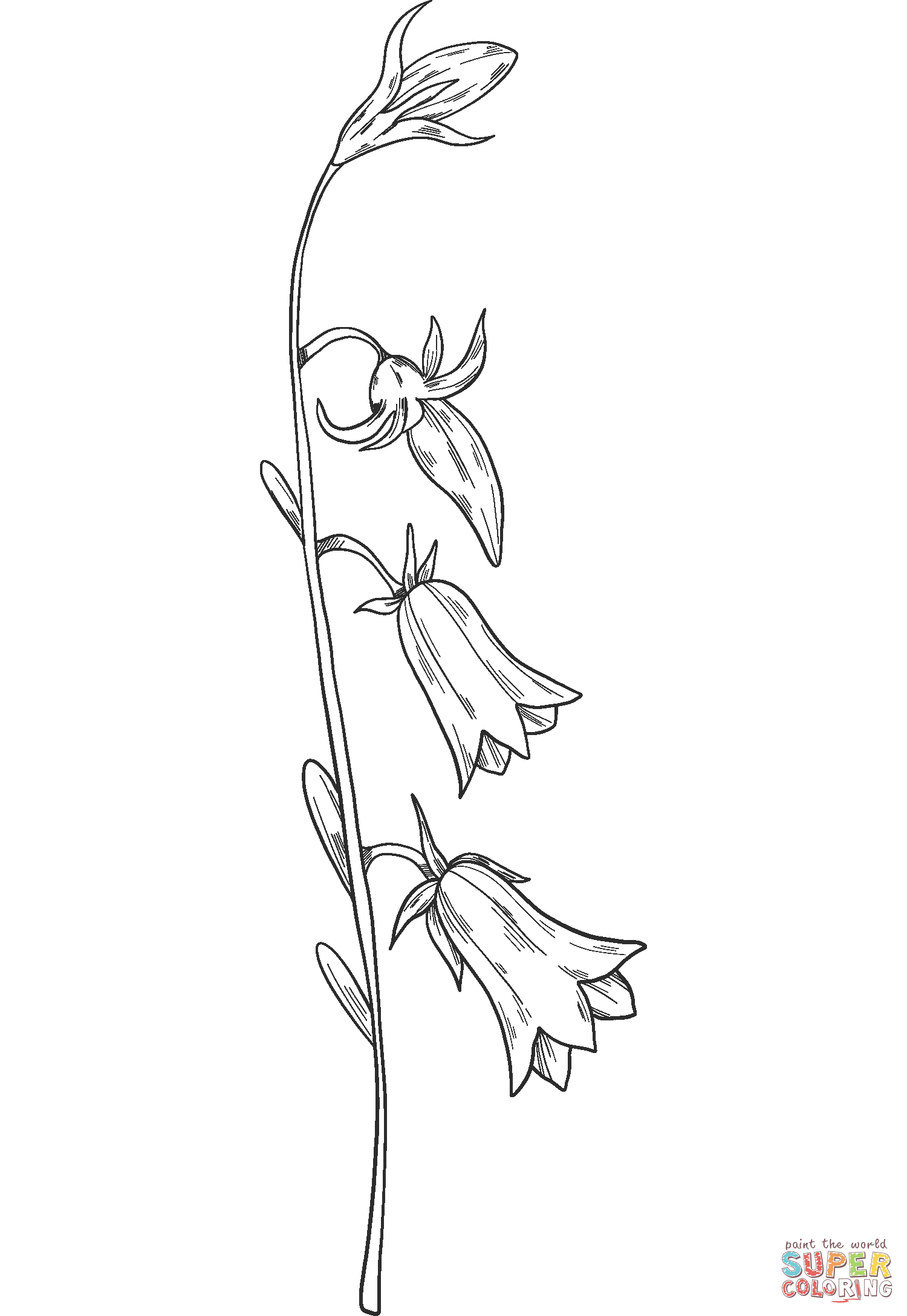 35 Bell Flower Coloring Pages