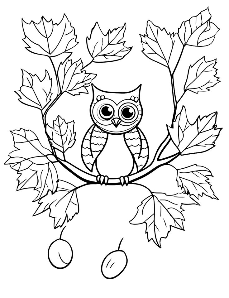 35 Printable Coloring Book Autumn