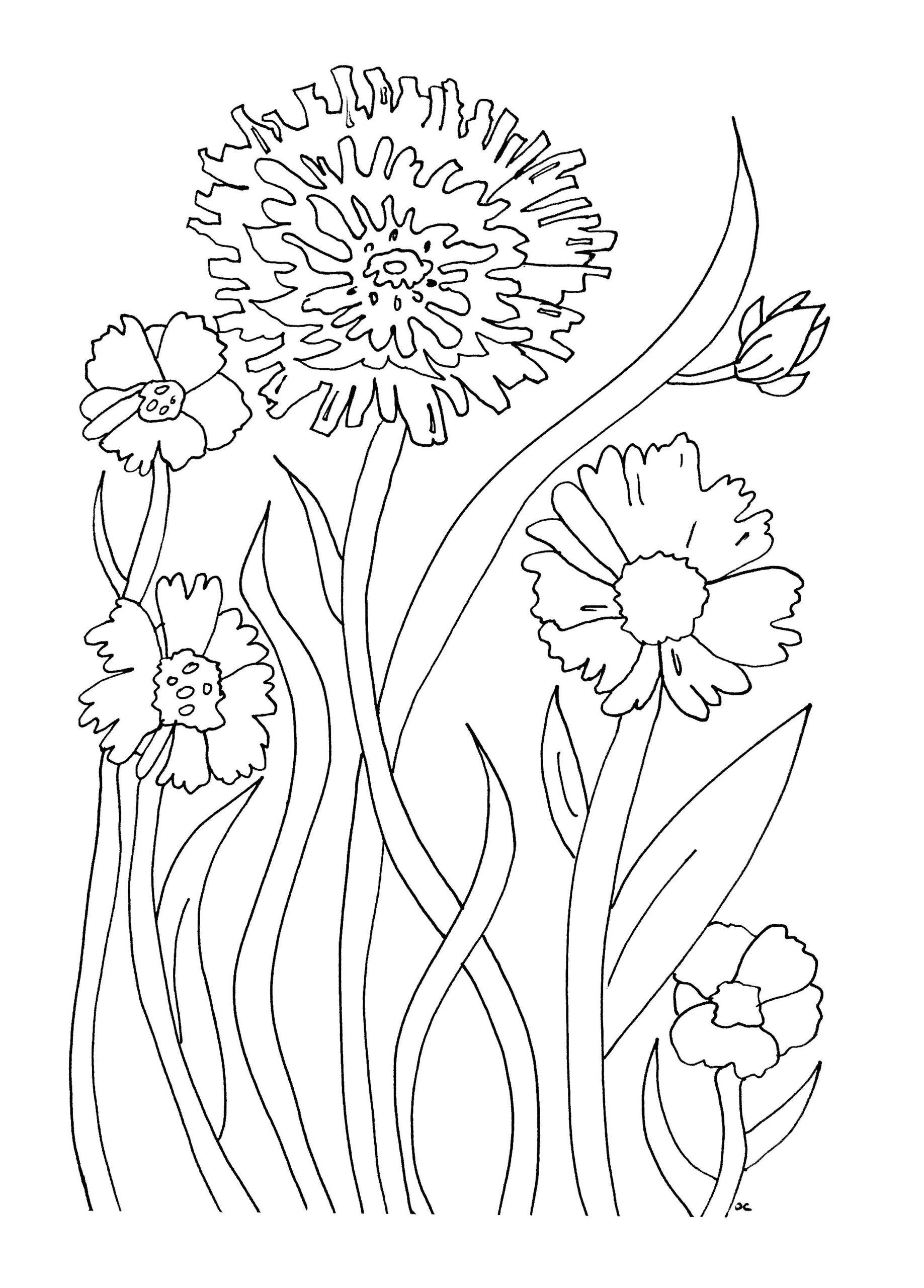 35 Printable Coloring Book Easy