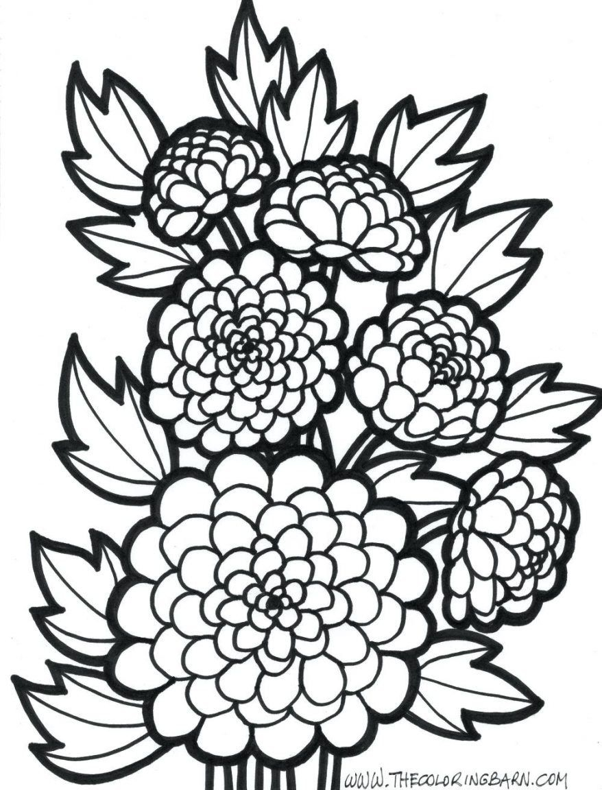 35 Printable Flower Coloring Pages Free Samples
